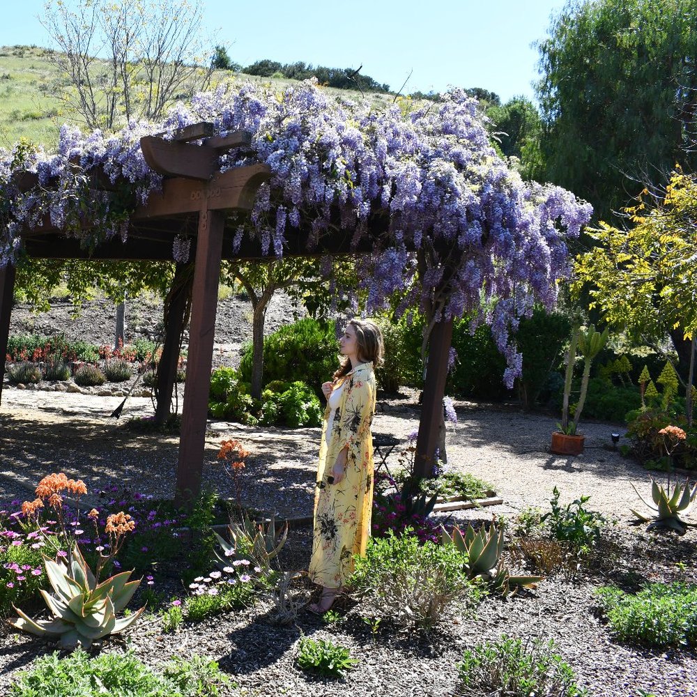 Meet your Posher, Corrie